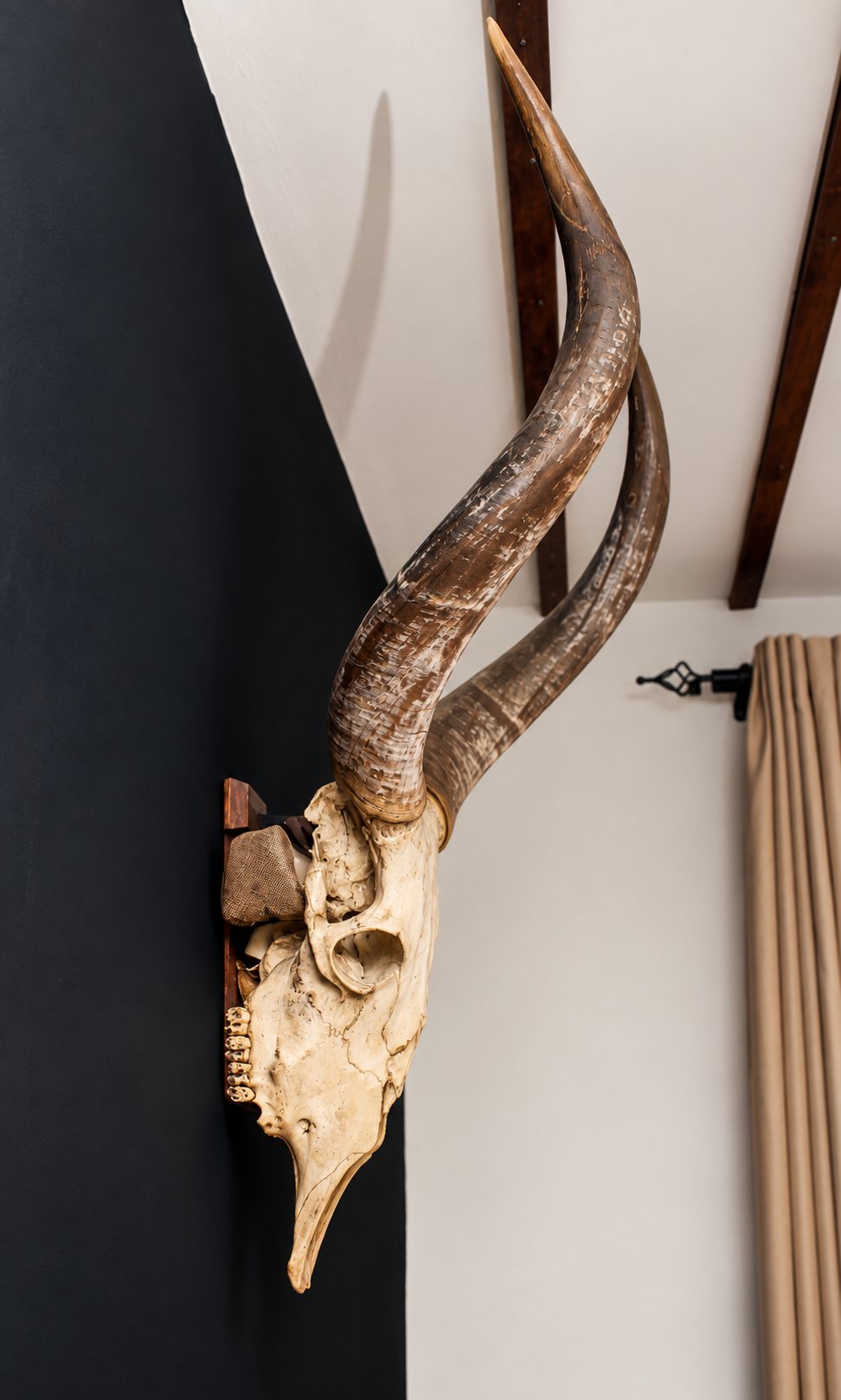Horn sculpture